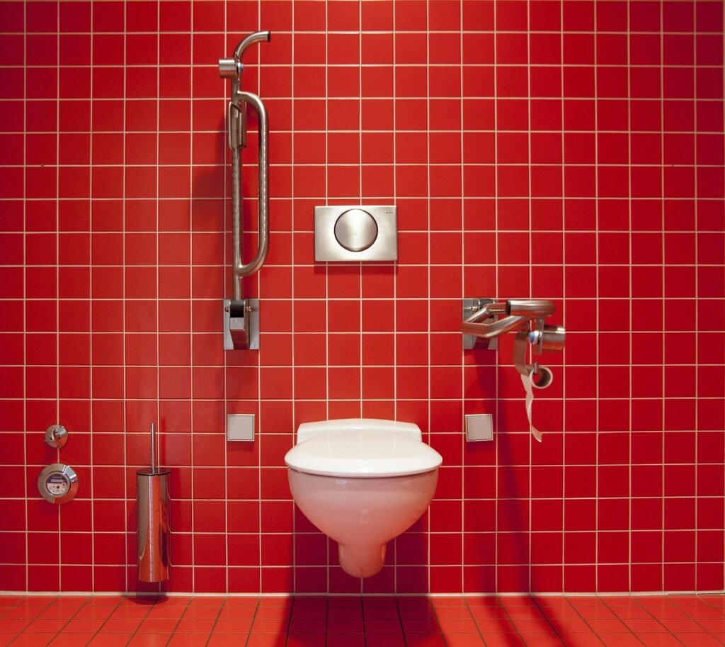 wc, toilet, public toilet, clean, disabled, maintained, tiles, red, toilet bowl, loo, toilet, toilet, toilet, toilet, toilet